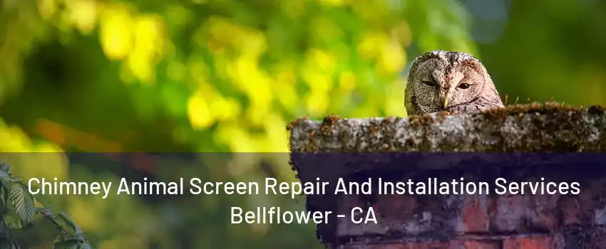 Chimney Animal Screen Repair And Installation Services Bellflower - CA