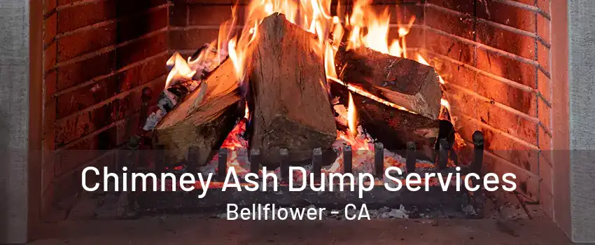 Chimney Ash Dump Services Bellflower - CA