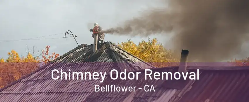 Chimney Odor Removal Bellflower - CA