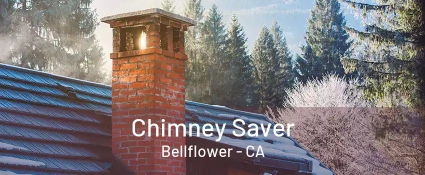 Chimney Saver Bellflower - CA