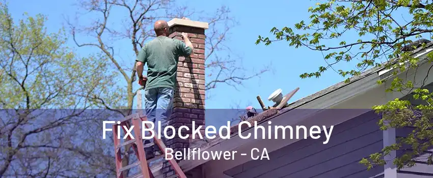 Fix Blocked Chimney Bellflower - CA