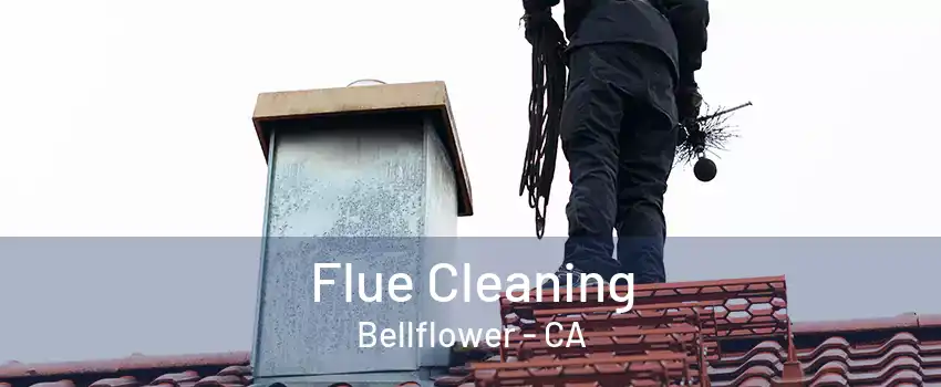 Flue Cleaning Bellflower - CA