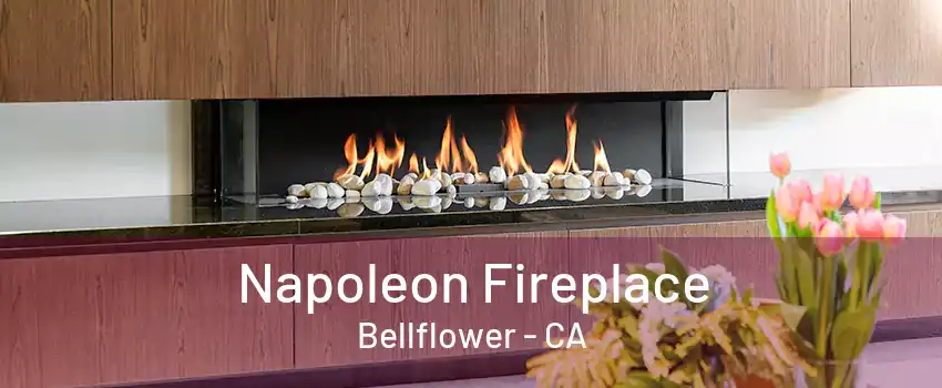 Napoleon Fireplace Bellflower - CA